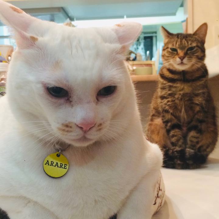 807620b3 17bb 49cf 8792 1f27b3a04711 1569761908764