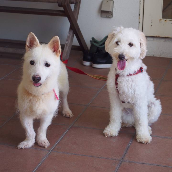 807620be bb39 4ded b667 62ace6c696de 1532316735622