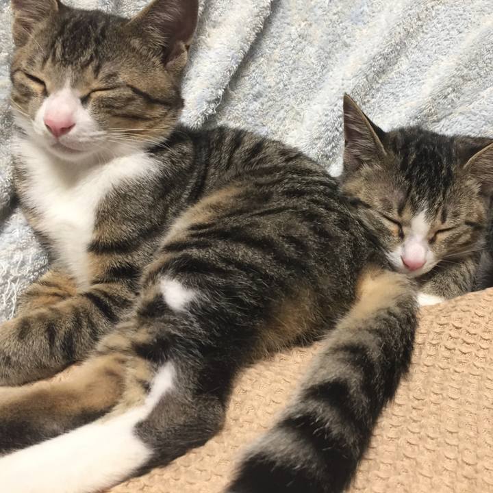 80763092 b186 47c8 93e2 b3d42be6311b 1663154701178