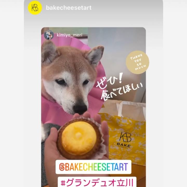 807645ac 6e0a 4cf3 b103 a43f3a86dc6e 1706699803502