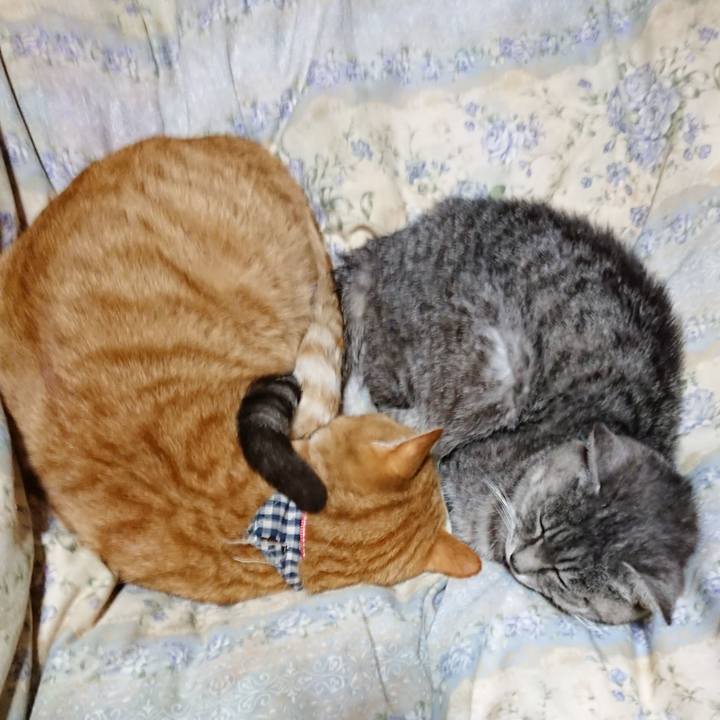 8076b33a e8af 4178 88e0 02d1364b83d3 1573131836587