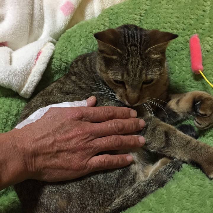 8076caac 8a76 425d a227 99581bec2767 1547041180152