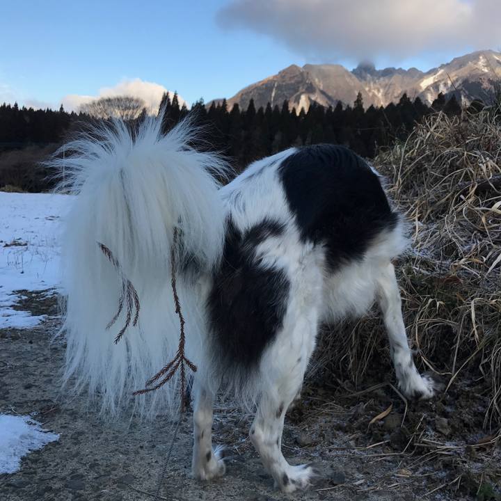 80770134 6d5f 4c48 a590 151f3eb47961 1516861077667