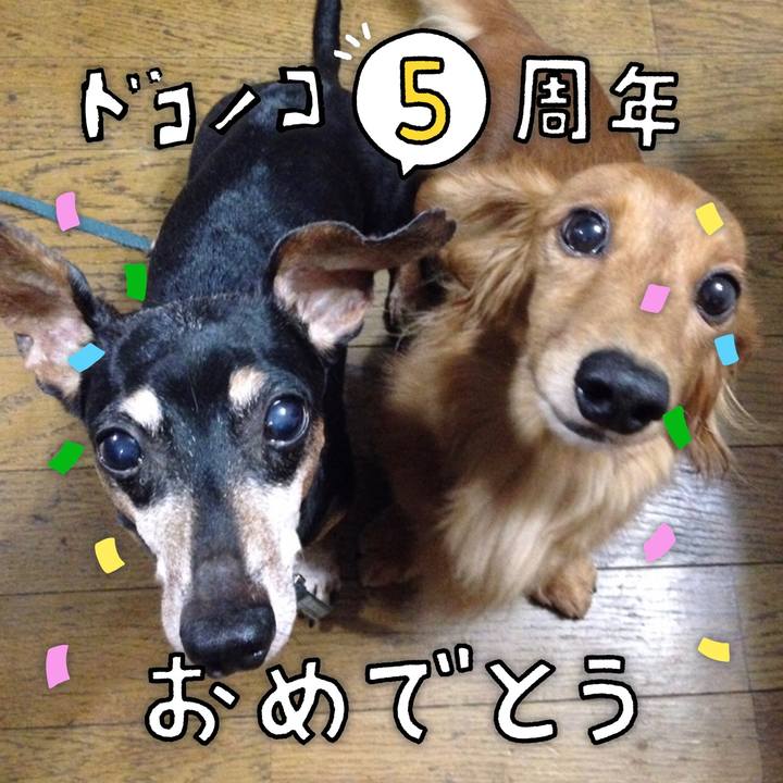 8077587d ad4c 47d1 a1b1 e12c654c63c6 1622954486076