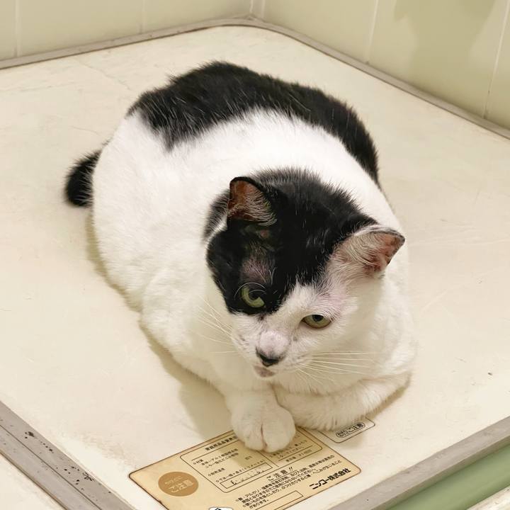 80776936 5404 4c8a a90d 13685b5bb568 1758235848751