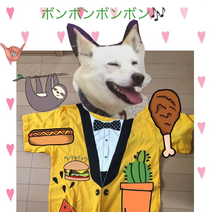 807778cd b4a6 4a93 a7d9 4c2b3bfda8fc 1565515244516