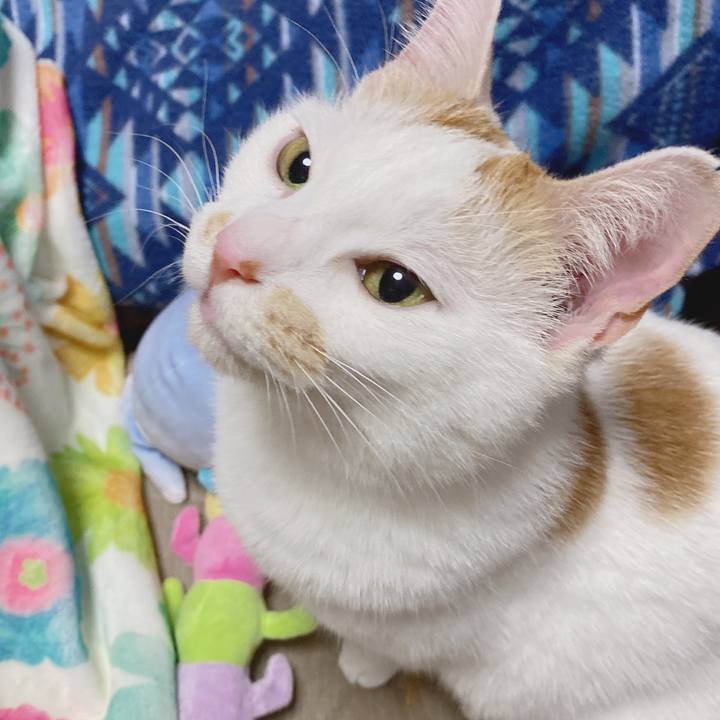 8077aac7 5be1 4b82 b318 a4c0bbf491f3 1583589201507