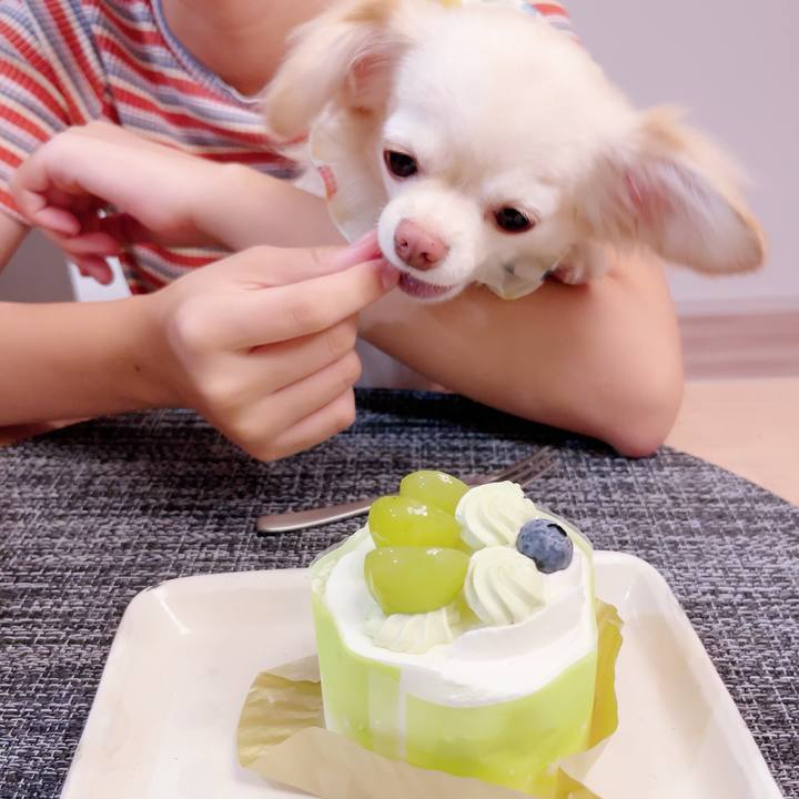 8077b085 c264 4a70 a2d3 d66c49612e60 1693222924471