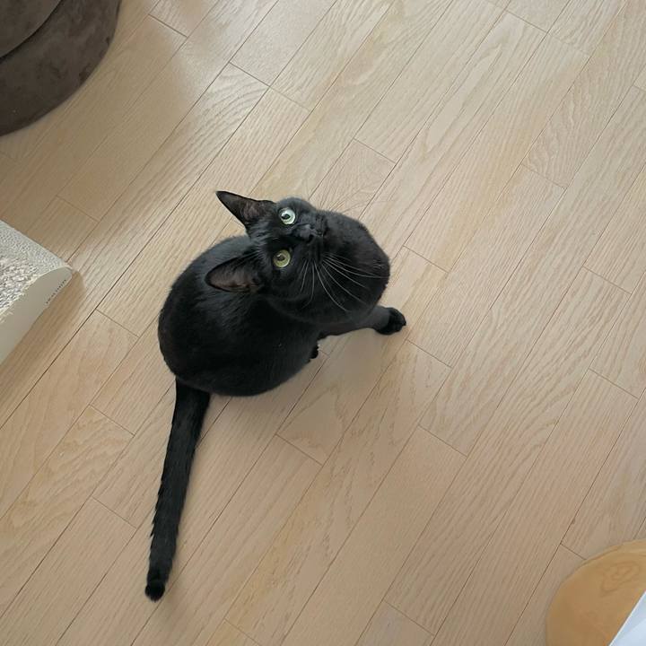 8077dc05 d391 4530 920d 88f997a48c32 1674215433313