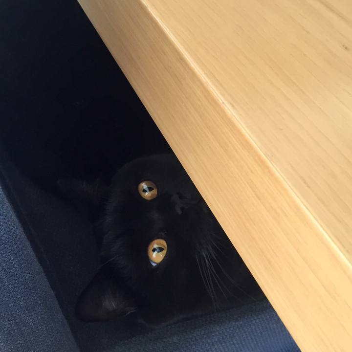 8077dd89 e7ab 4efb 8923 0217c226b8ff 1538298090052