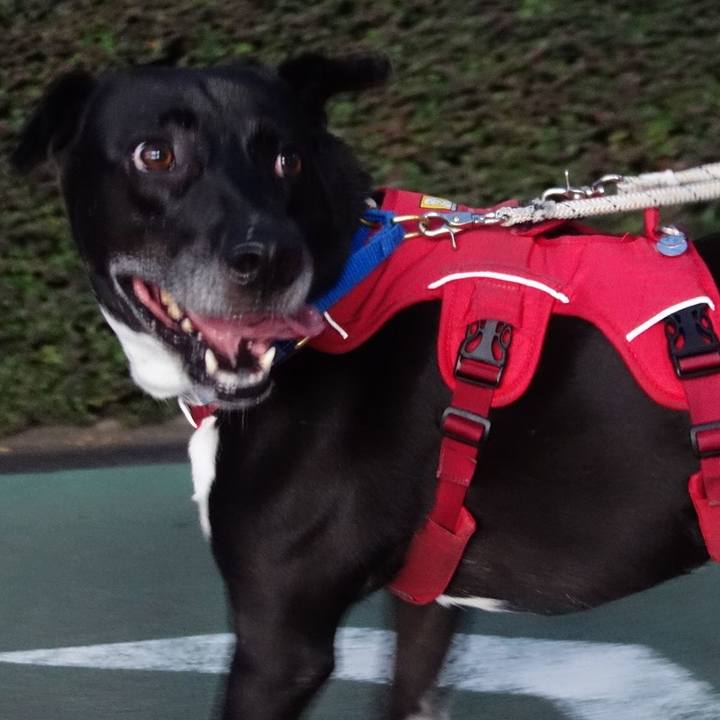 80781604 fe91 47f0 aa7c 0d4085f01fab 1661857943107