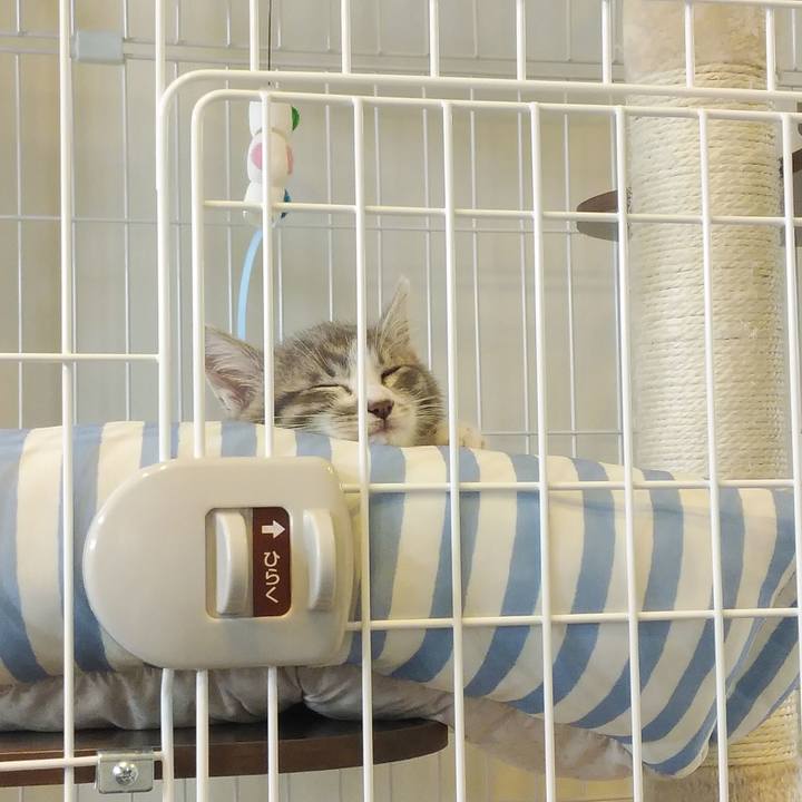 80782340 d79d 4b59 b568 34716b3b5877 1561434997465