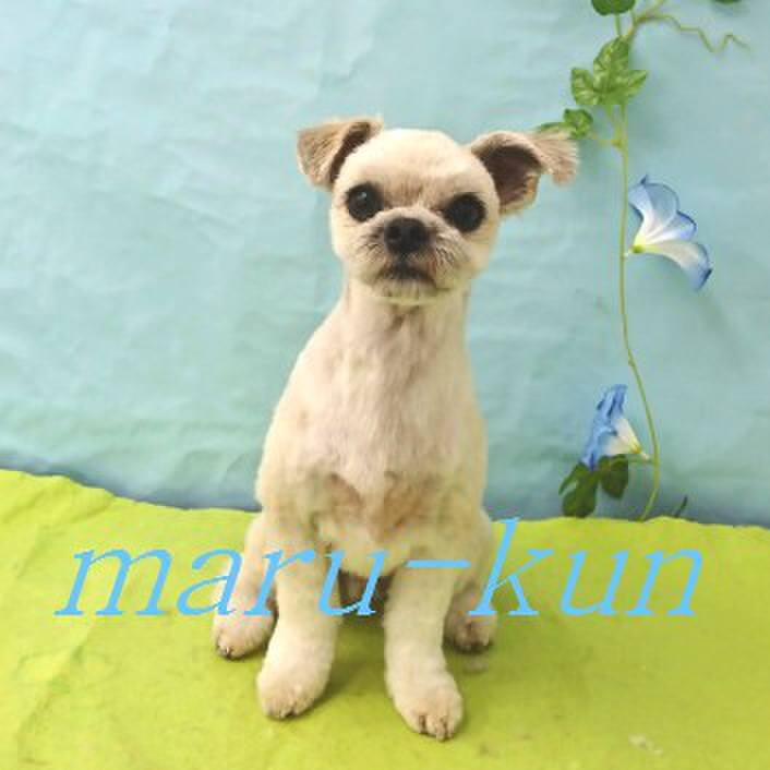 80782aad 2a2e 49cf a40f 3d5b5433bb6d 1532180185918