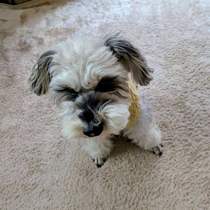 80782f99 8b26 4f38 b56a 8833915e0613 1764769546802