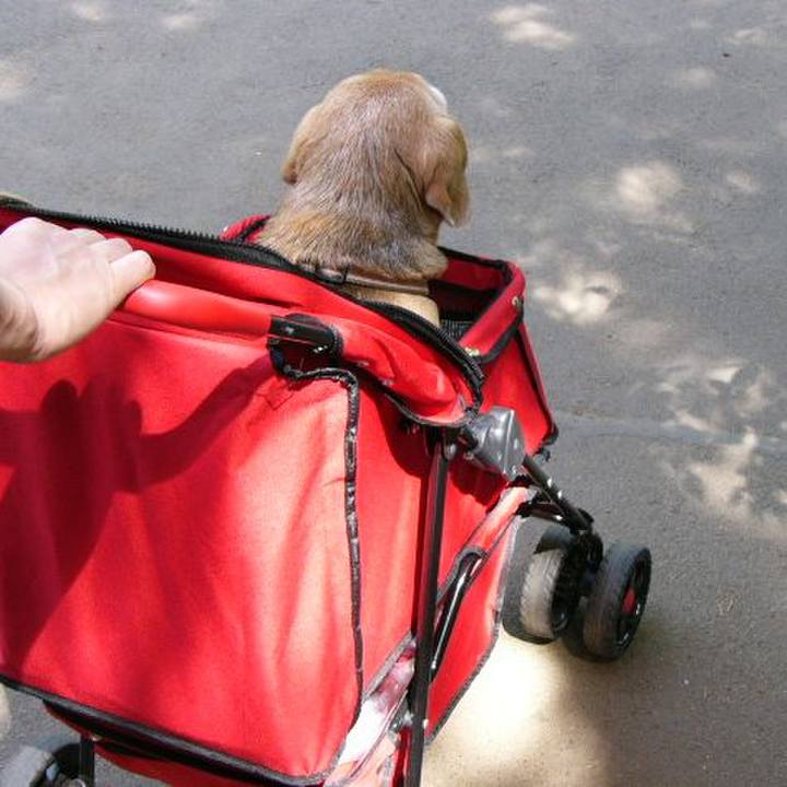 8078465e f875 4146 9c23 483a2d0e8477 1651019610238