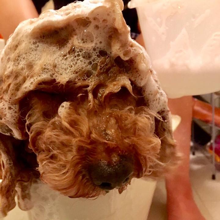 807874d7 eab4 4158 acc1 86b4524403c6 1554220542386