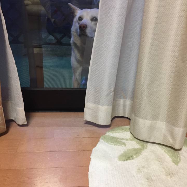 8078843d 38b1 4fa2 b6fa 9ea86a47b6f4 1523016701324