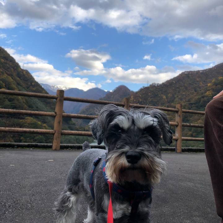 8078aa07 8254 4ba4 81f6 95a3ffef4b7c 1606486341717