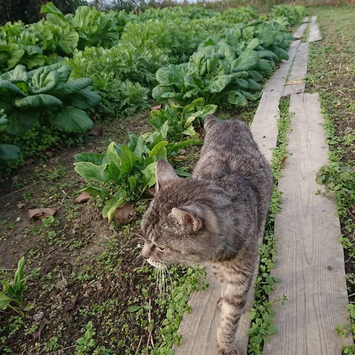 8078ba17 0a79 4060 a514 3e4eb1e1e3b0 1572763919751