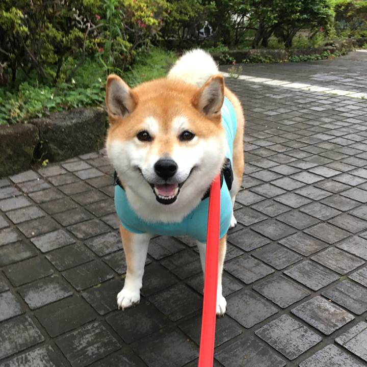 8078df15 80a9 446e 8b2e 4c37f7d8ebdb 1592127455260