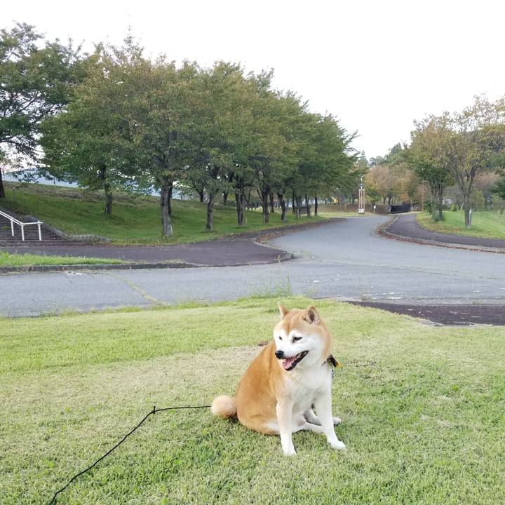 80797316 f56e 4bd3 bd79 7bc066d63086 1632815191154