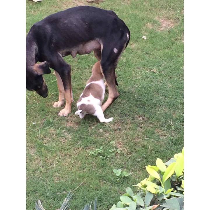 80799ca2 7831 4d91 bc20 01ff8478afa9 1510756779148