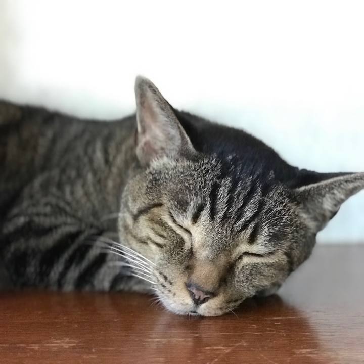 8079d014 4389 45d1 ae61 fcf9eee232ba 1534982174809