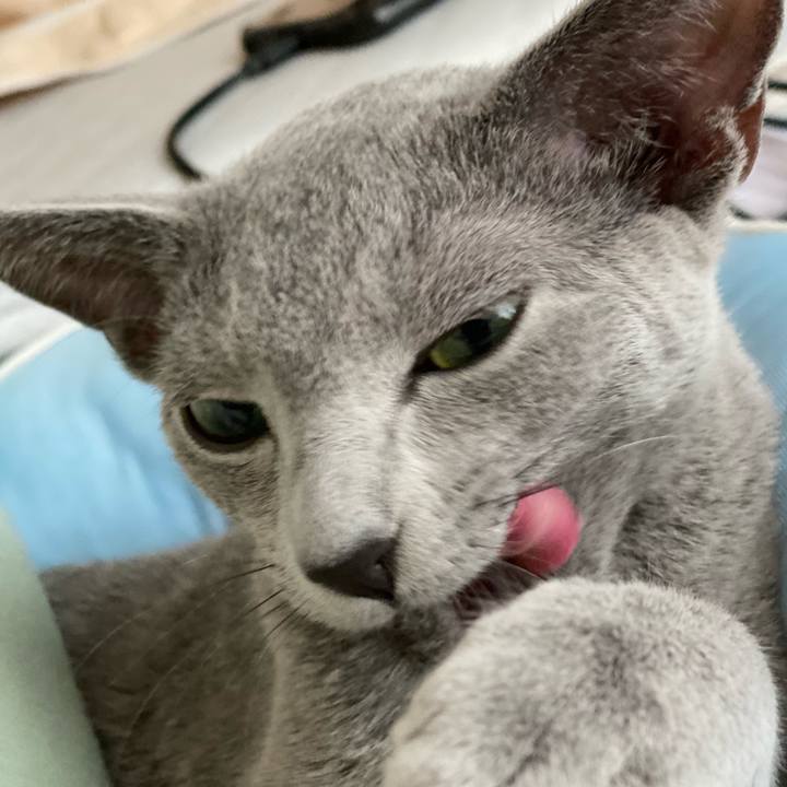 807a05f8 5ba7 4c9c 847d ace97a0a0b06 1600696407364