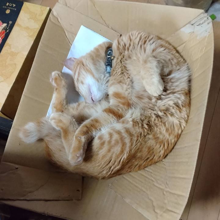 807a1836 ac54 4c45 ada1 16afd180d4d6 1686636155354