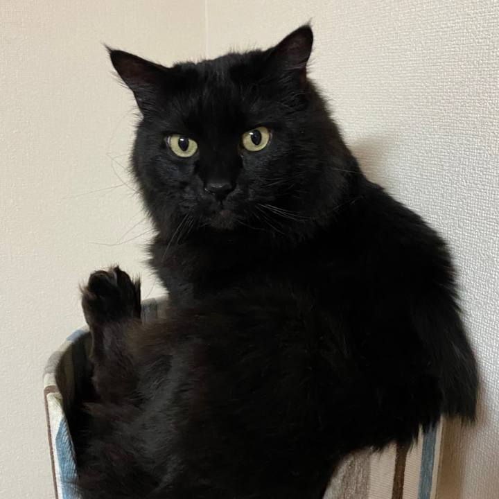 807a1c01 bc4e 45e2 b87b 987fac42f7ec 1613223130107