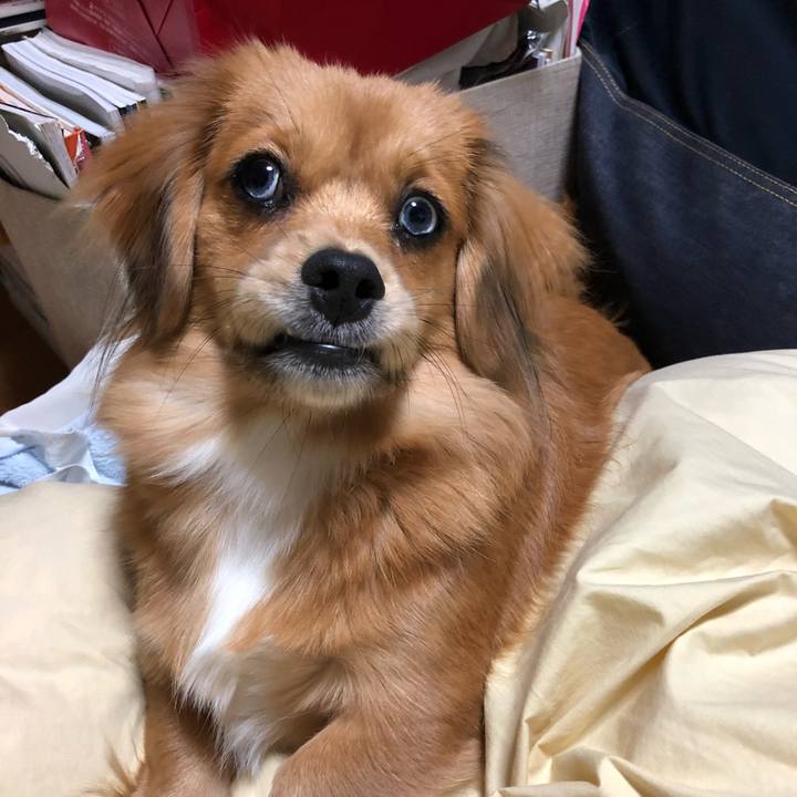 807a31ce 69c8 4971 bb7d 50c7eef14b5d 1761773481001