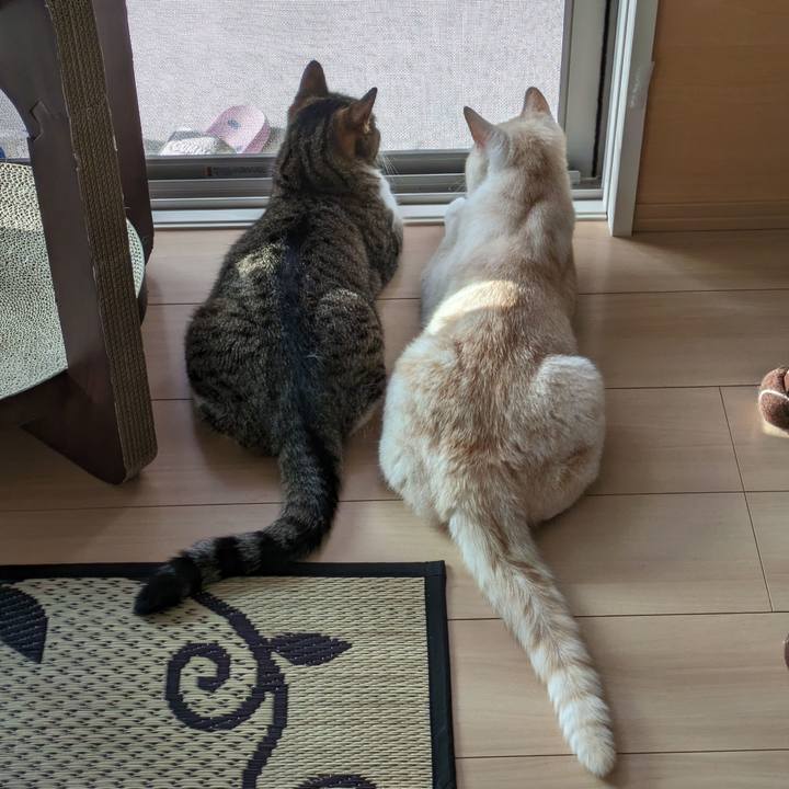 807a78e0 c22c 4c03 a3f2 bb84a6c5edac 1693012519480