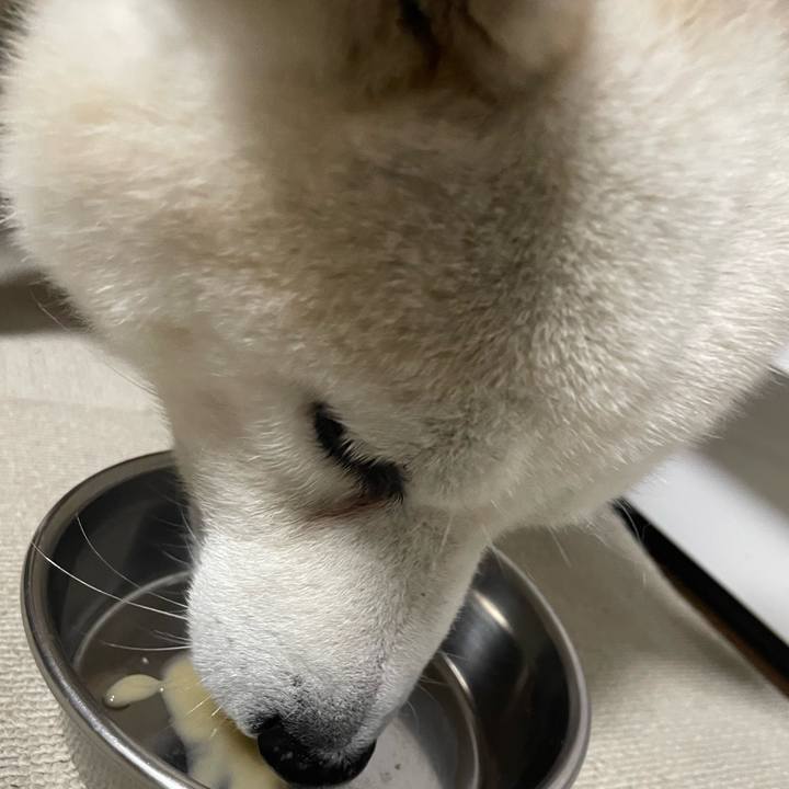 807a9978 ca79 4739 9586 dae8c2b7845c 1707827971793