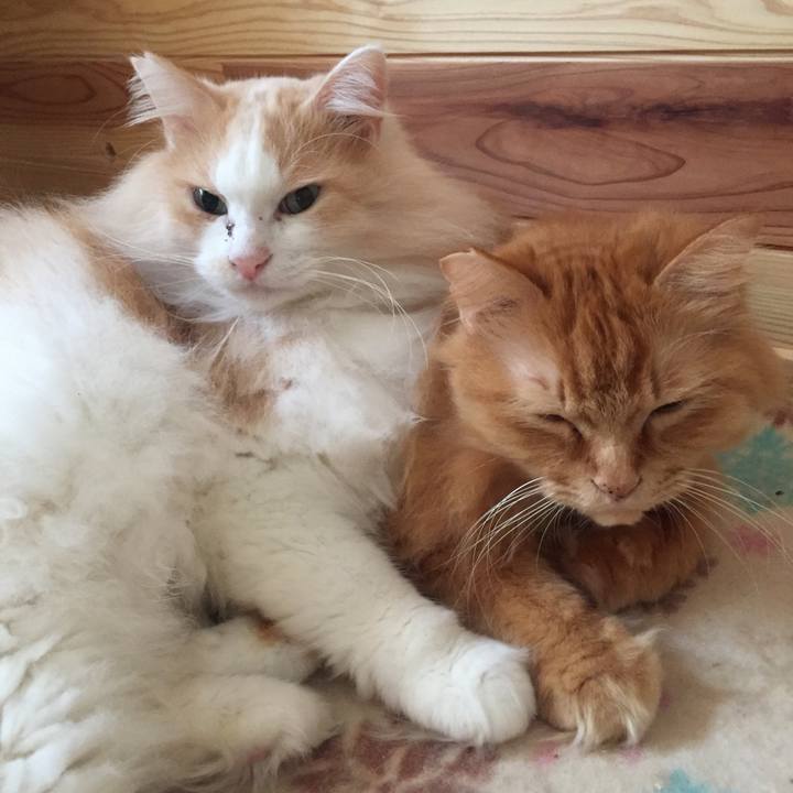 807ab08c 28df 4599 aa43 5fb00741defa 1575588430978