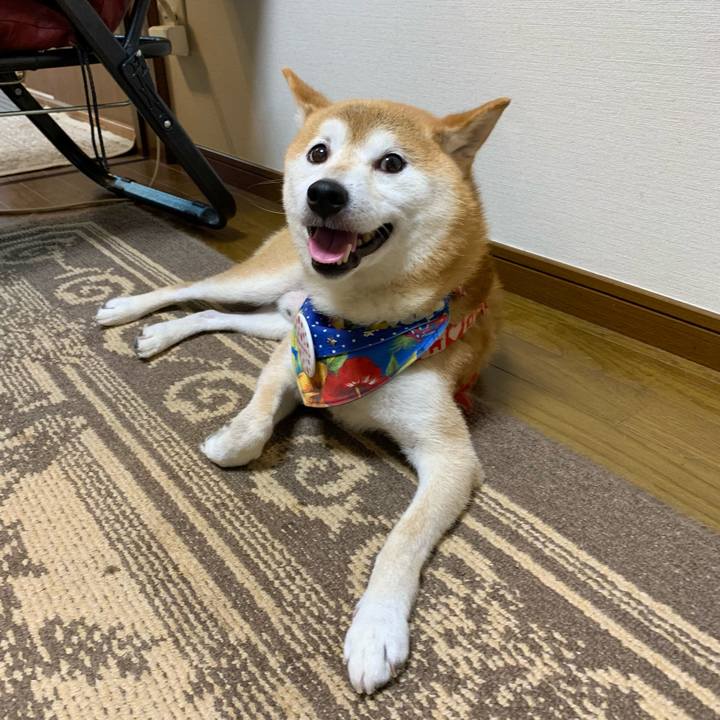 807abf49 8a5b 4540 b085 fa92ded4d385 1631703092702