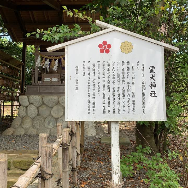 807ae832 bde8 41f9 bb24 1f52aee006bb 1592837601467