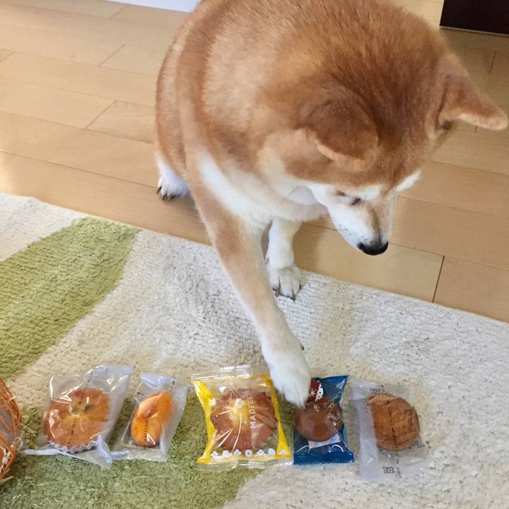 807aff2e 74f5 4466 84df f30b2254ea77 1633833172854