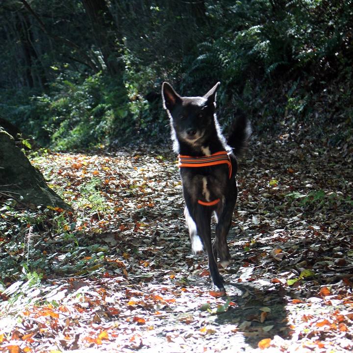 807b54b0 464c 4951 834b c22c1c0aab7f 1604552798596