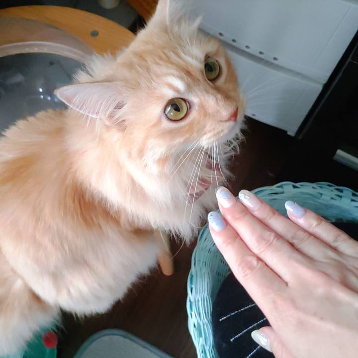 807b709d 8922 47c9 95f4 e09379b45b1b 1720853623950