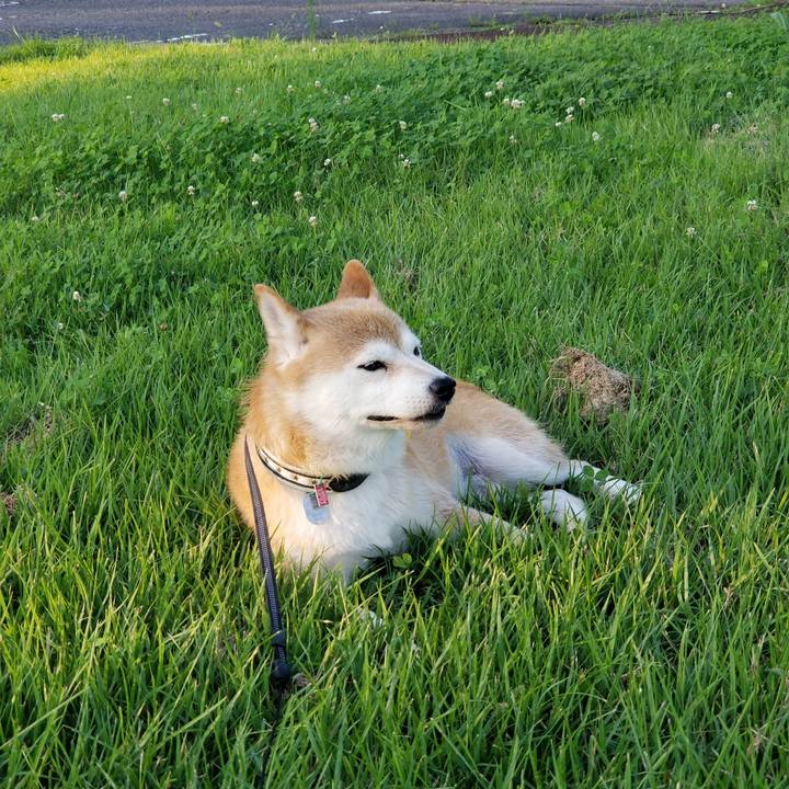 807b7fbe 5a5c 4dc8 bc6c 6629ecd6e275 1596271826229