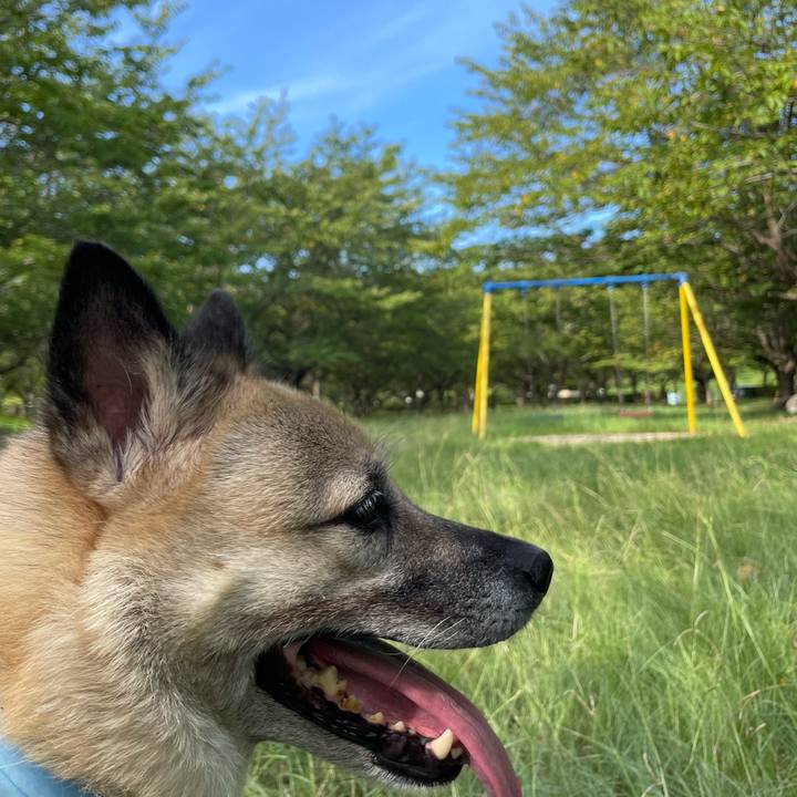 807b7fea c892 4e79 a7ae c34dfcd59e31 1723889711009