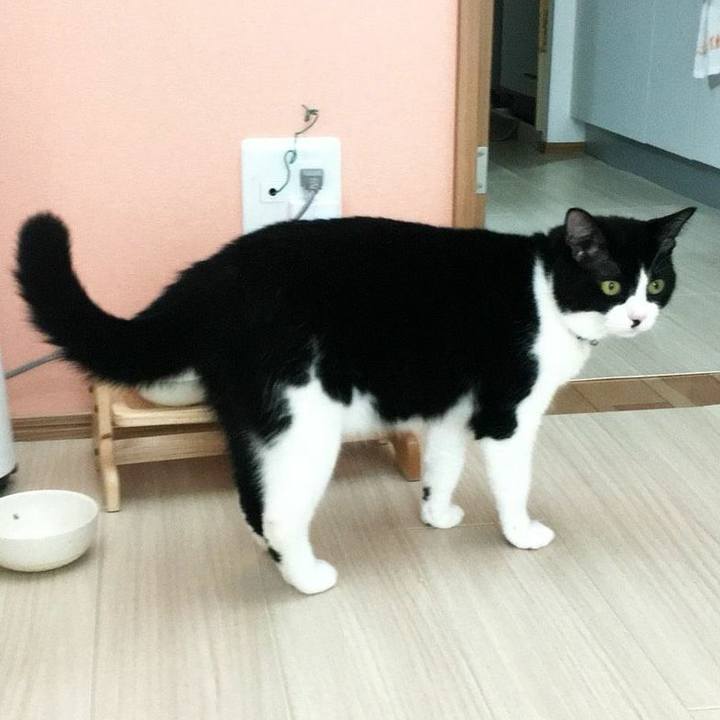 807c1663 14bb 47d3 8ac5 d7b47a6cac74 1530710071628