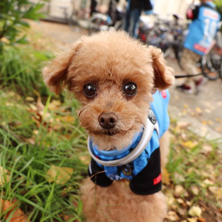 807c184c 9039 4ab4 9b1b d47ad06cbe07 1604406945046