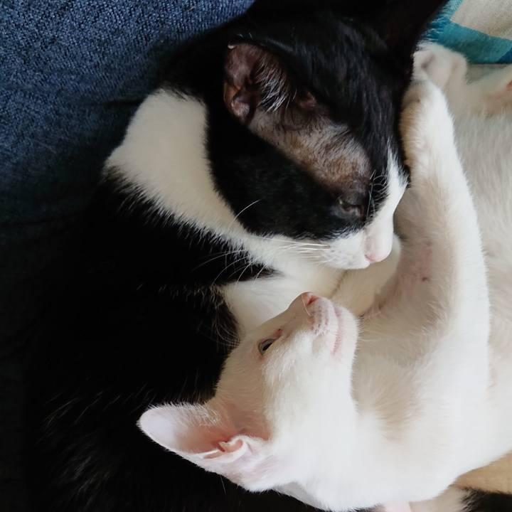 807c5961 e446 4b70 98a3 8e67483c6787 1575201985646