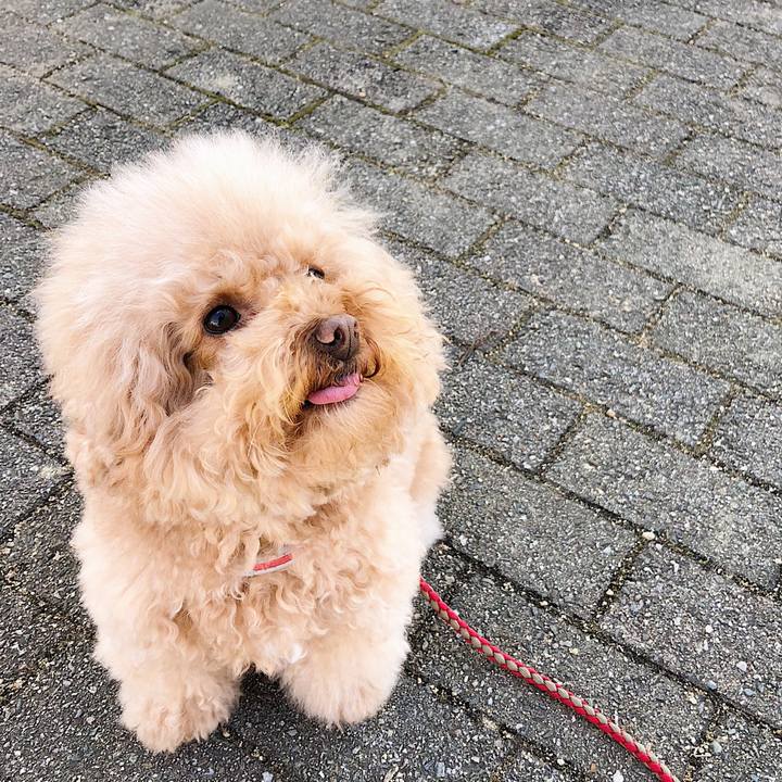 807ca09b 457d 4ebf a6fa 5573ad4de71a 1517800673591