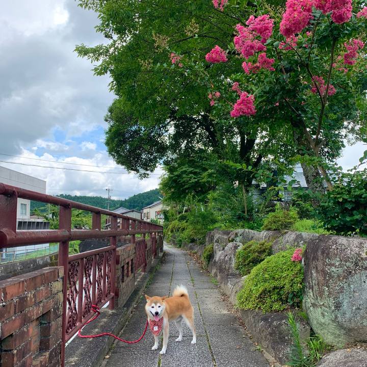 807cb1c6 fbd7 44df a5fd 09730fd530db 1660631618199