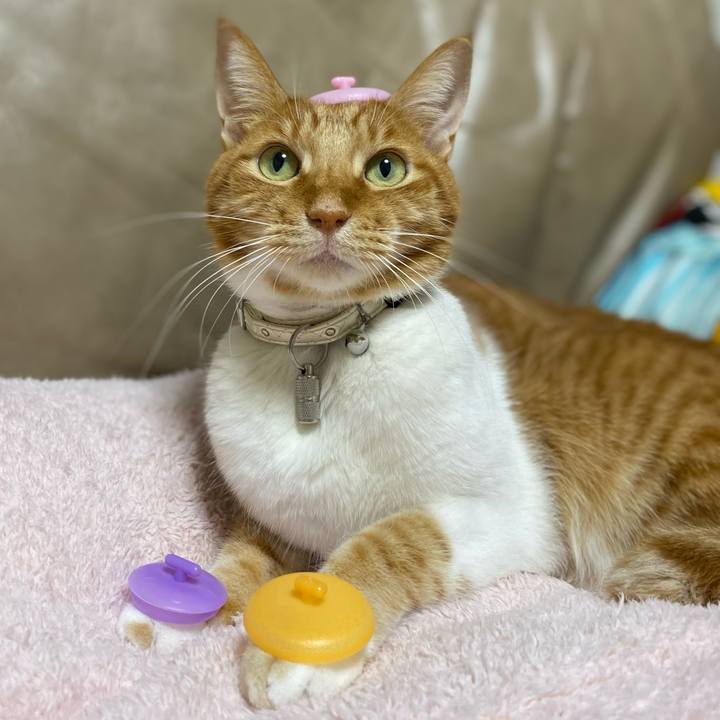 807cd609 2b81 4b9f 8265 b4ea064c1821 1666348514118