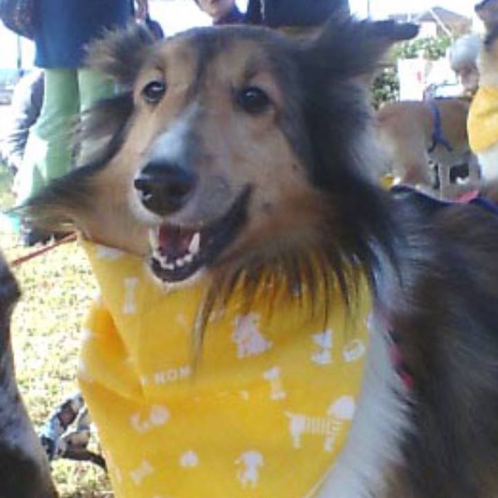 807cde8f 2685 40bc b6bf da5feeb33dac 1572865968362