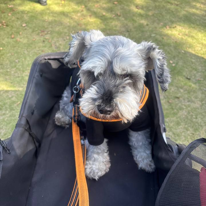 807ce035 66c9 4c15 89a8 7c02d21043eb 1729396847271