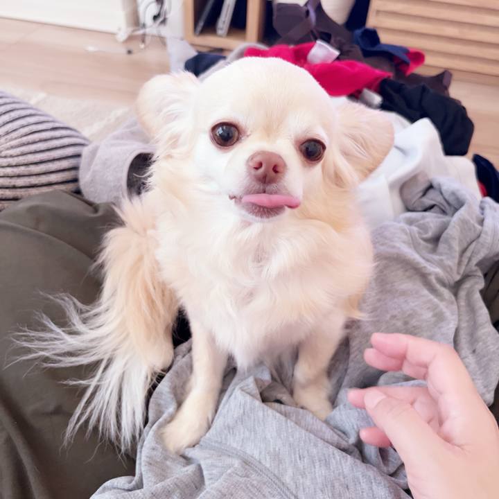 807d09f9 d15d 47ef 8d77 561625c08ab6 1747732763300